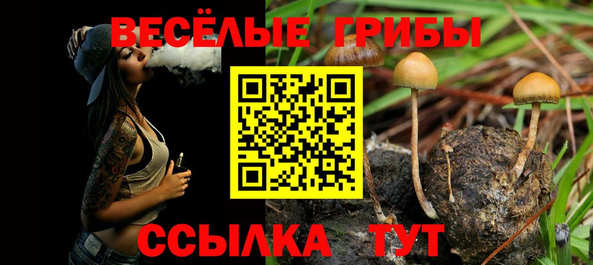 Галлюциногенные грибы ЛСД Химки