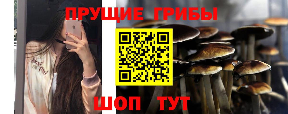 Галлюциногенные грибы мицелий  Вход с VPN  Химки 